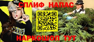 эйфоретик Новокубанск
