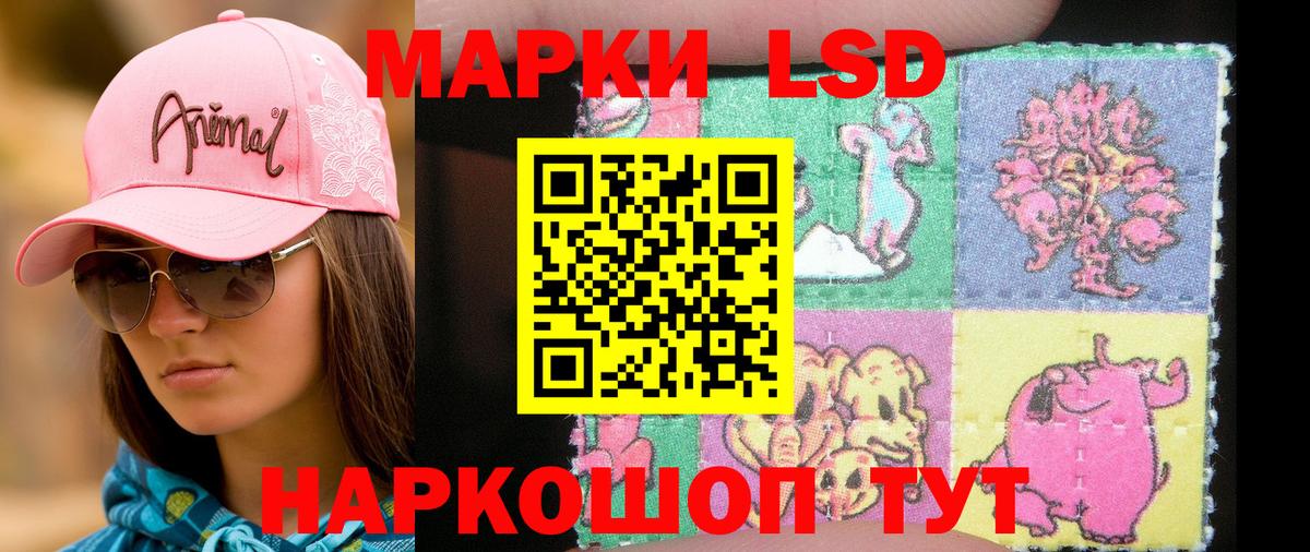 Чернушка  Наркотические марки  Вход с VPN  Наркотические марки 1,5мг 