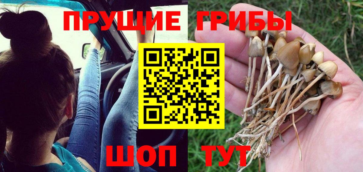 Псилоцибиновые грибы мухоморы Чернушка