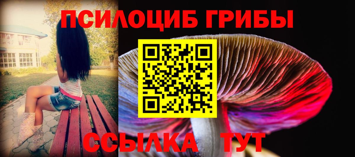Галлюциногенные грибы MAGIC MUSHROOMS  Галлюциногенные грибы MAGIC MUSHROOMS  Чернушка  Вход с VPN 